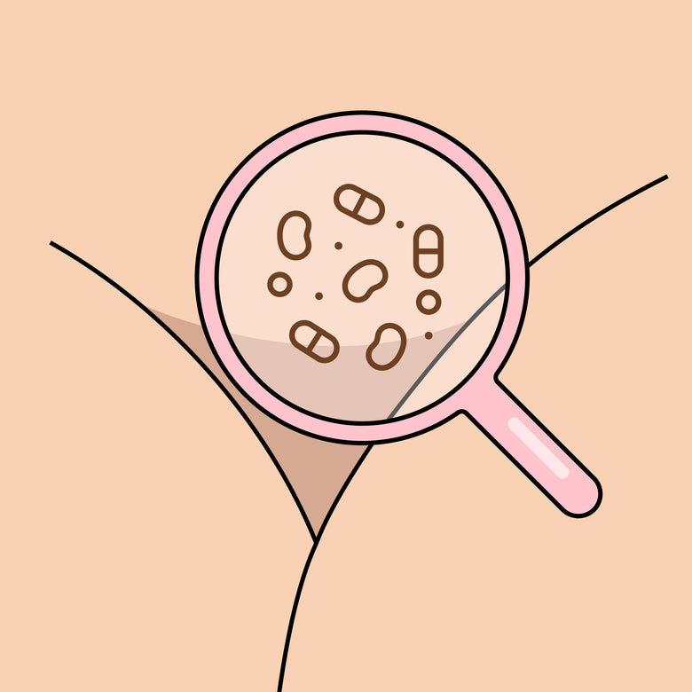 illustration of pubic area with magnifying glass
