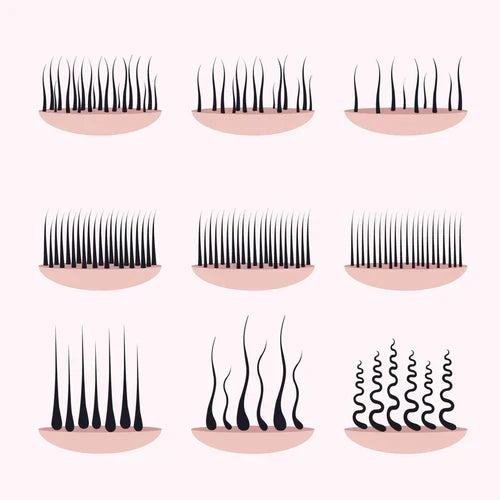 X Types of Pubic Hair (and How to Care for Yours) RoseSkinCo.
